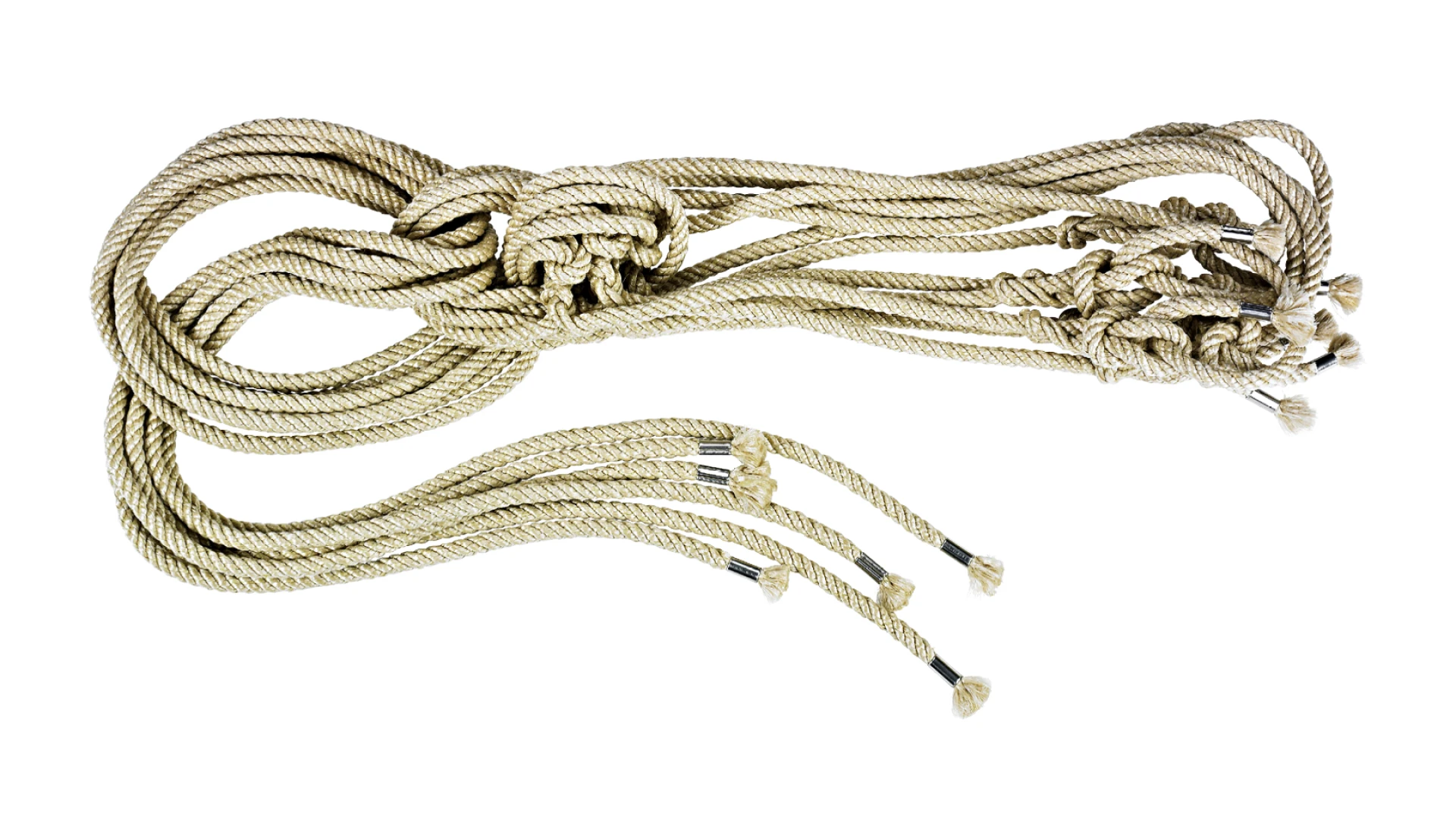 Halters for calves and cows