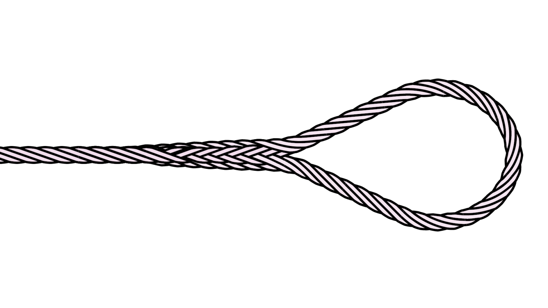 Loop  spliced