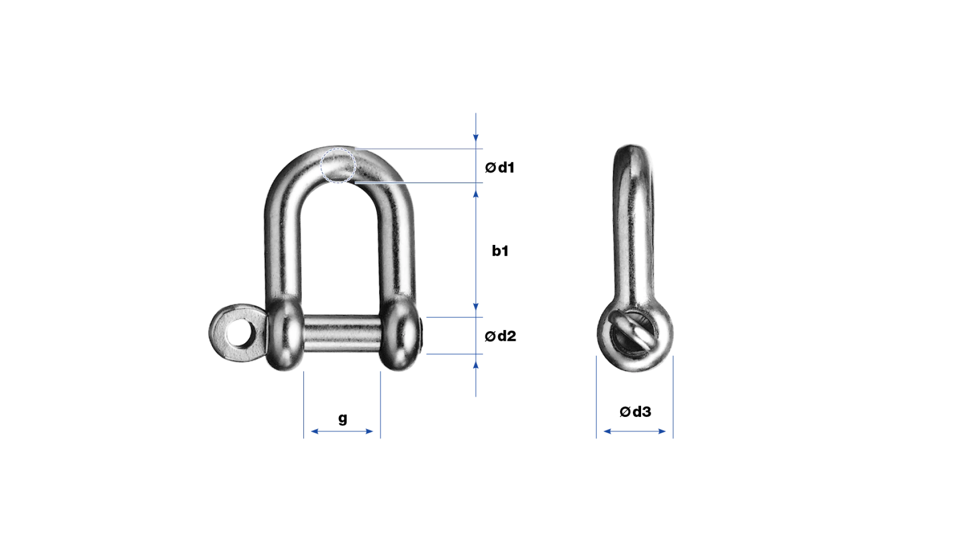 Shackle straight shape  Stainless steel
